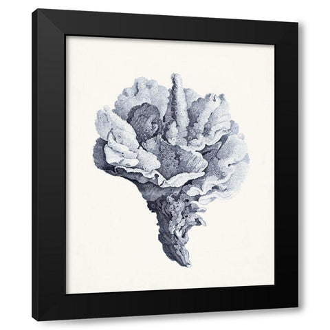 Blue Antique Coral III Black Modern Wood Framed Art Print with Double Matting by Vision Studio