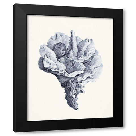 Blue Antique Coral III Black Modern Wood Framed Art Print by Vision Studio