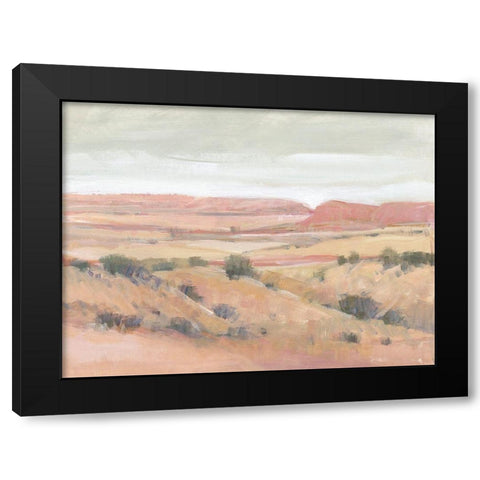 Southwest Landscape I Black Modern Wood Framed Art Print with Double Matting by OToole, Tim