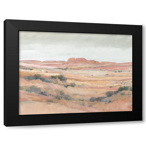 Southwest Landscape II Black Modern Wood Framed Art Print by OToole, Tim