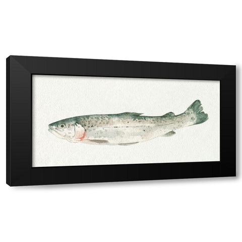 Fresh Catch IV Black Modern Wood Framed Art Print with Double Matting by Caroline, Emma