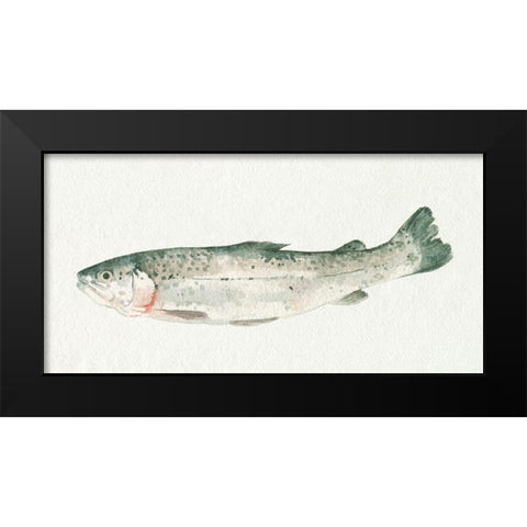 Fresh Catch IV Black Modern Wood Framed Art Print by Caroline, Emma
