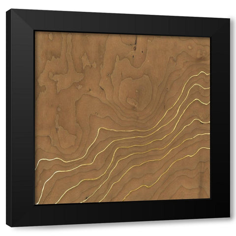 Golden Veneer I Black Modern Wood Framed Art Print by Lam, Vanna