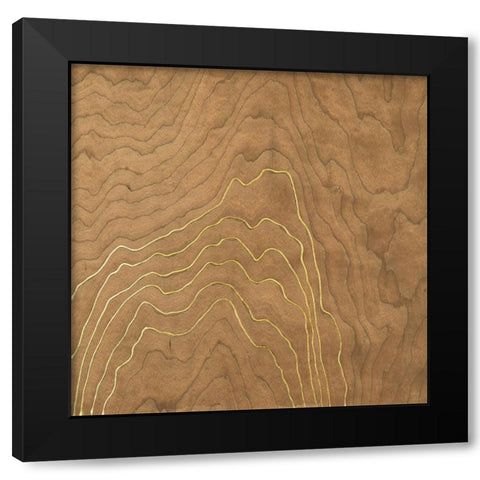 Golden Veneer II Black Modern Wood Framed Art Print with Double Matting by Lam, Vanna