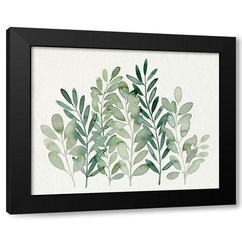 Foraged Greens I Black Modern Wood Framed Art Print with Double Matting by Popp, Grace