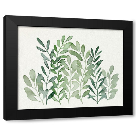 Foraged Greens II Black Modern Wood Framed Art Print with Double Matting by Popp, Grace