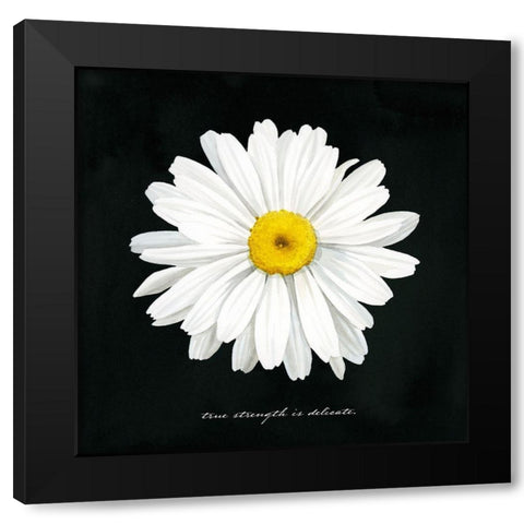 Delicate Daisy II Black Modern Wood Framed Art Print with Double Matting by Popp, Grace