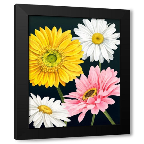 Gerbera Daisy I Black Modern Wood Framed Art Print with Double Matting by Popp, Grace