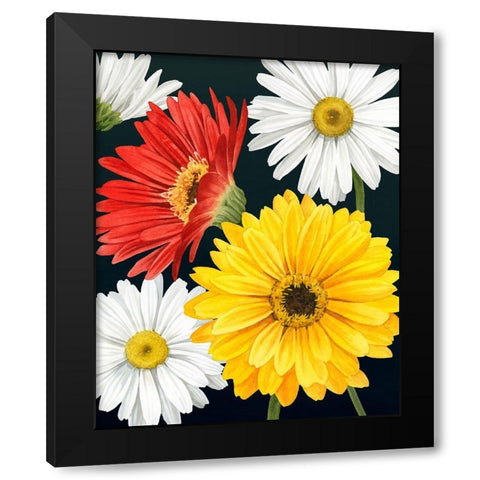 Gerbera Daisy II Black Modern Wood Framed Art Print with Double Matting by Popp, Grace