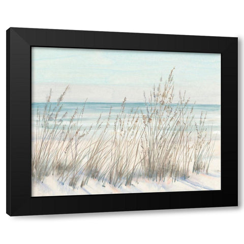 Beach Grass II Black Modern Wood Framed Art Print with Double Matting by OToole, Tim