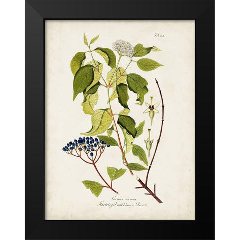 Tree in Bloom I Black Modern Wood Framed Art Print by Unknown