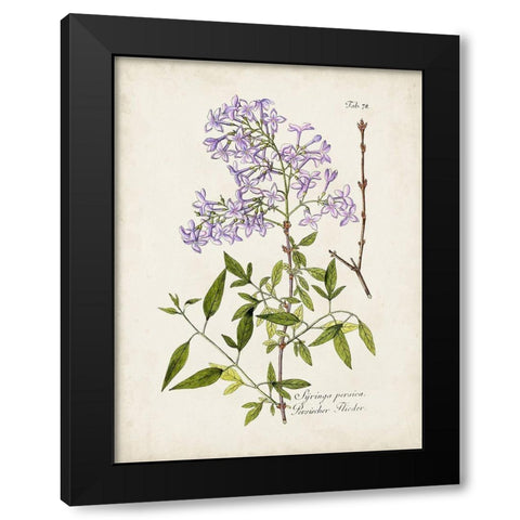 Tree in Bloom III Black Modern Wood Framed Art Print by Unknown