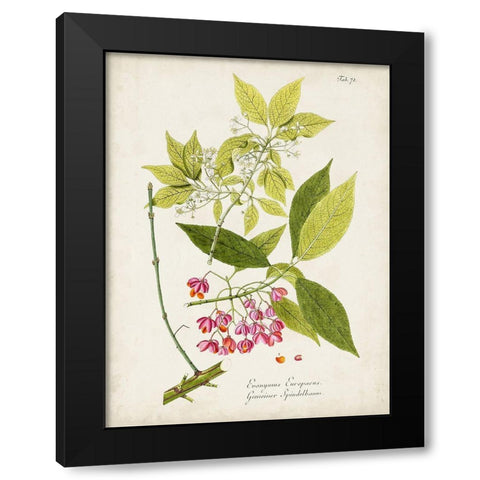 Tree in Bloom IV Black Modern Wood Framed Art Print by Unknown