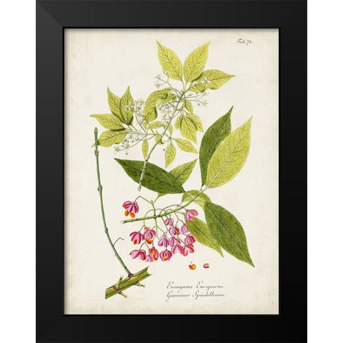 Tree in Bloom IV Black Modern Wood Framed Art Print by Unknown