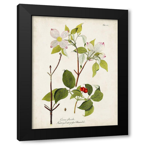 Tree in Bloom V Black Modern Wood Framed Art Print with Double Matting by Unknown