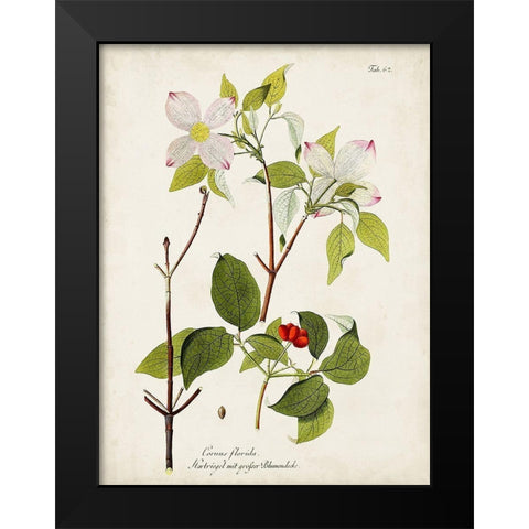 Tree in Bloom V Black Modern Wood Framed Art Print by Unknown