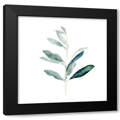 Summer Olive Branch I Black Modern Wood Framed Art Print with Double Matting by Caroline, Emma