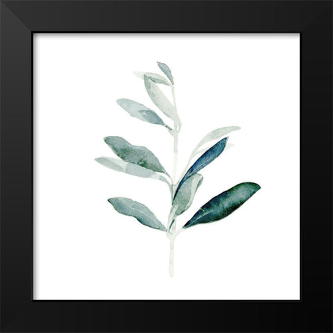 Summer Olive Branch I Black Modern Wood Framed Art Print by Caroline, Emma