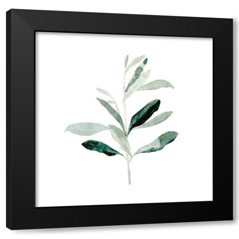 Summer Olive Branch II Black Modern Wood Framed Art Print with Double Matting by Caroline, Emma