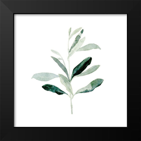 Summer Olive Branch II Black Modern Wood Framed Art Print by Caroline, Emma