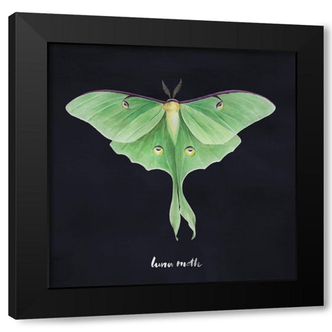 Luna Moth I Black Modern Wood Framed Art Print with Double Matting by Popp, Grace