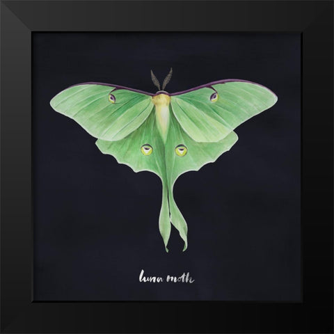 Luna Moth I Black Modern Wood Framed Art Print by Popp, Grace