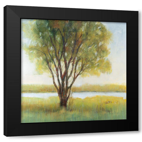 Shade Tree I Black Modern Wood Framed Art Print with Double Matting by OToole, Tim