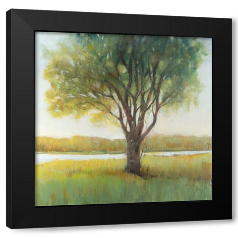 Shade Tree II Black Modern Wood Framed Art Print with Double Matting by OToole, Tim