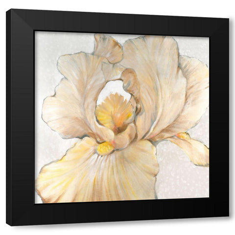 Iris Cream I Black Modern Wood Framed Art Print with Double Matting by OToole, Tim