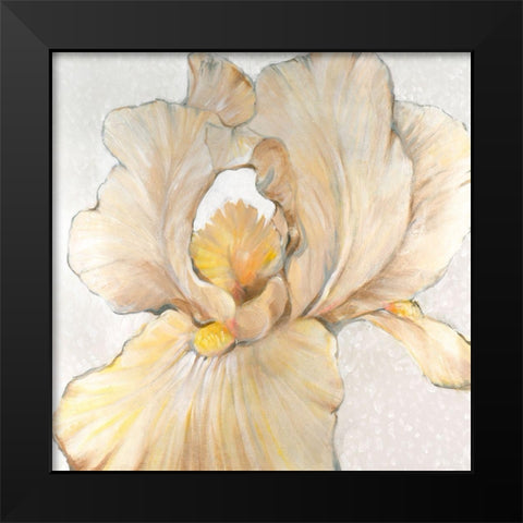 Iris Cream I Black Modern Wood Framed Art Print by OToole, Tim