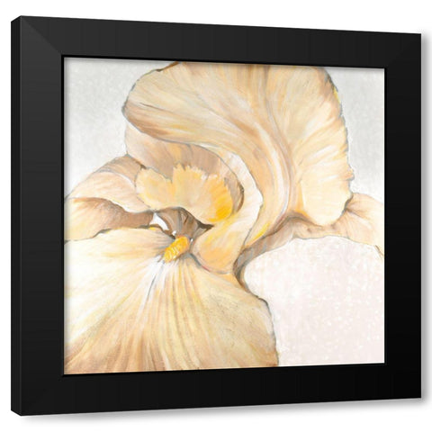 Iris Cream II Black Modern Wood Framed Art Print with Double Matting by OToole, Tim