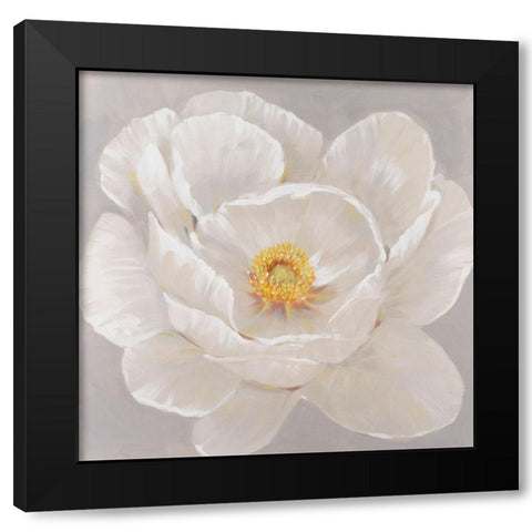 White Peony II Black Modern Wood Framed Art Print by OToole, Tim