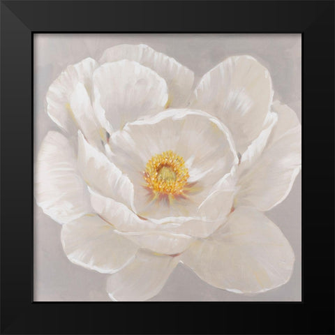 White Peony II Black Modern Wood Framed Art Print by OToole, Tim