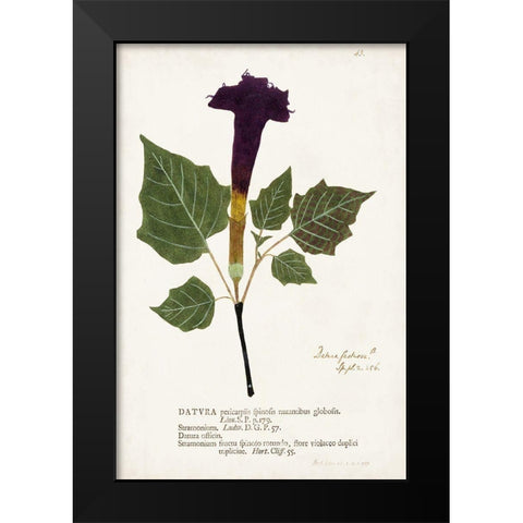 Nature Printed Botanicals IV Black Modern Wood Framed Art Print by Unknown