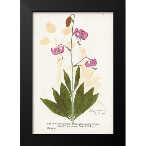 Nature Printed Botanicals V Black Modern Wood Framed Art Print by Unknown