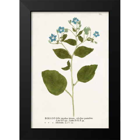 Nature Printed Botanicals VI Black Modern Wood Framed Art Print by Unknown