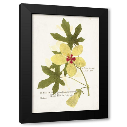 Nature Printed Botanicals XII Black Modern Wood Framed Art Print by Unknown