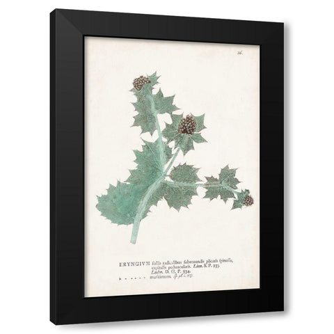 Nature Printed Ferns VII Black Modern Wood Framed Art Print with Double Matting by Unknown