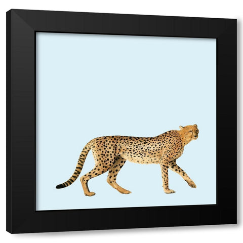 Twilight Safari III Black Modern Wood Framed Art Print with Double Matting by Popp, Grace