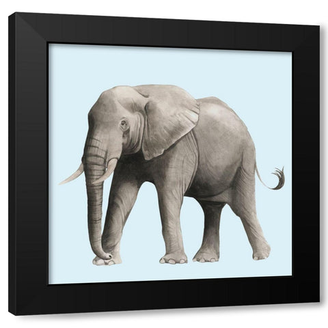 Twilight Safari IV Black Modern Wood Framed Art Print with Double Matting by Popp, Grace