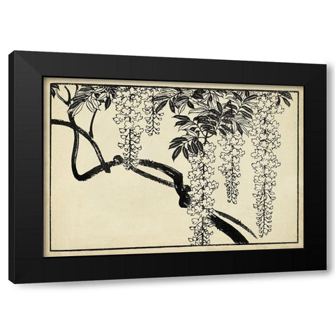 Japanese Wisteria I B Black Modern Wood Framed Art Print with Double Matting by Unknown