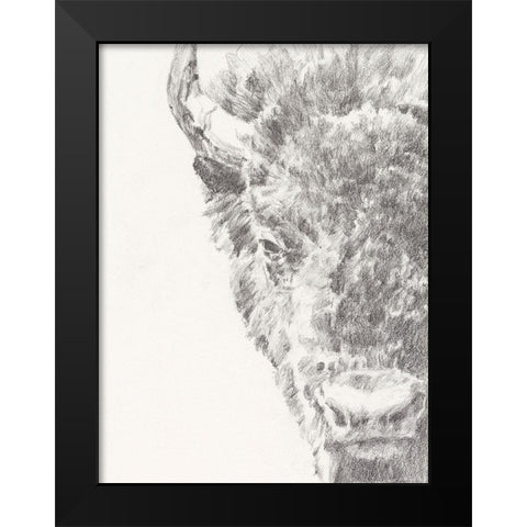 Graphite Bison Portrait I Black Modern Wood Framed Art Print by Harper, Ethan