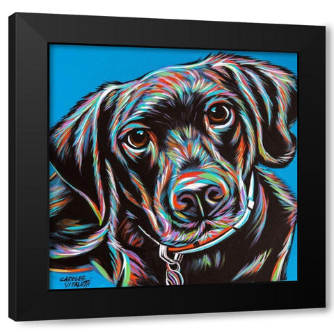 Furry Dog Friend II Black Modern Wood Framed Art Print by Vitaletti, Carolee