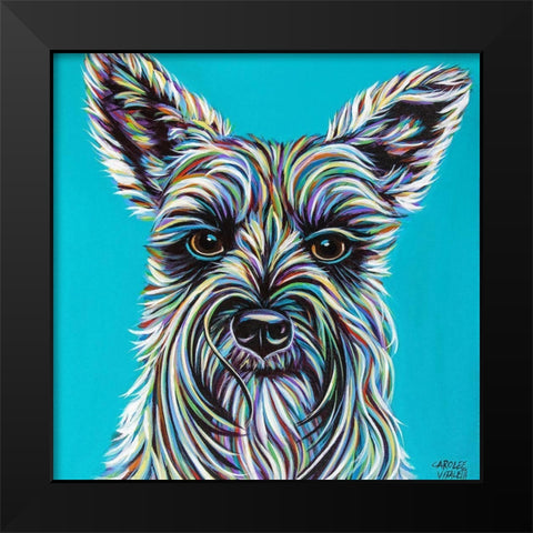 Colorful Schnauzer Black Modern Wood Framed Art Print by Vitaletti, Carolee