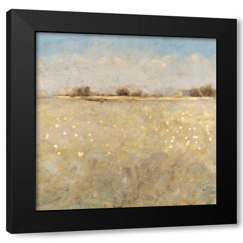 Meadow Plane I Black Modern Wood Framed Art Print with Double Matting by OToole, Tim