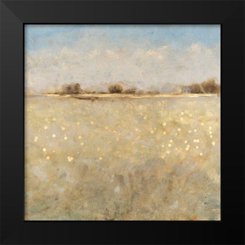 Meadow Plane I Black Modern Wood Framed Art Print by OToole, Tim