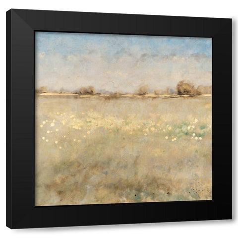 Meadow Plane II Black Modern Wood Framed Art Print with Double Matting by OToole, Tim