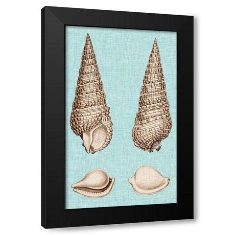 Sepia And Aqua Shells I Black Modern Wood Framed Art Print with Double Matting by Vision Studio