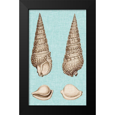 Sepia And Aqua Shells I Black Modern Wood Framed Art Print by Vision Studio