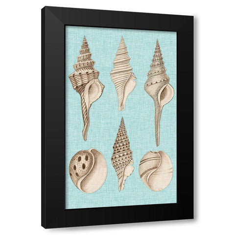 Sepia And Aqua Shells II Black Modern Wood Framed Art Print by Vision Studio